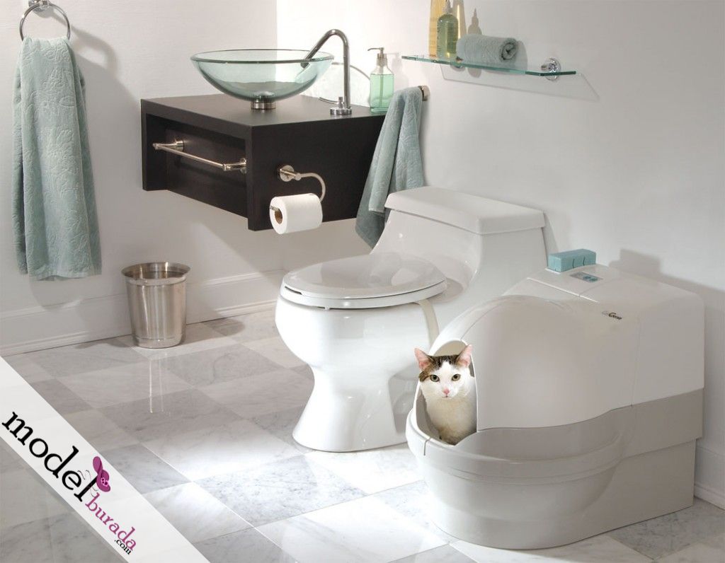 Banyo Dekorasyon (2)