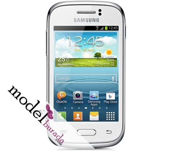 Samsung Galaxy Young S6310 (1)