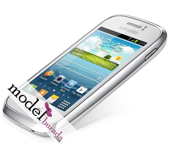 Samsung Galaxy Young S6310 (6)